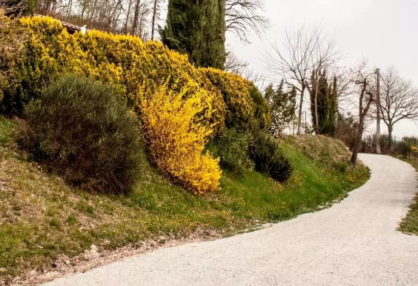 تختخواب و صبحانه Calmancino Delle Selve