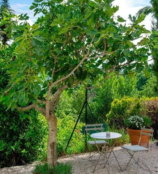 تختخواب و صبحانه Calmancino Delle Selve