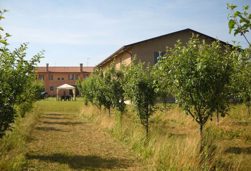 乡村酒店 Agriturismo Campi Di Grano