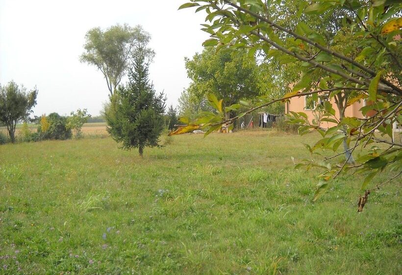 乡村酒店 Agriturismo Campi Di Grano