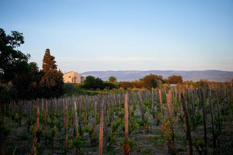 Kurort Baglio Occhipinti