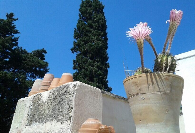 B&b Masseria Delle Rose 1760