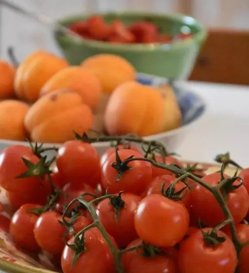 Majatalo Art & Breakfast