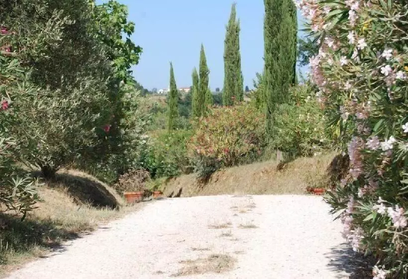 Maaseutuhotelli Tenuta Il Pino