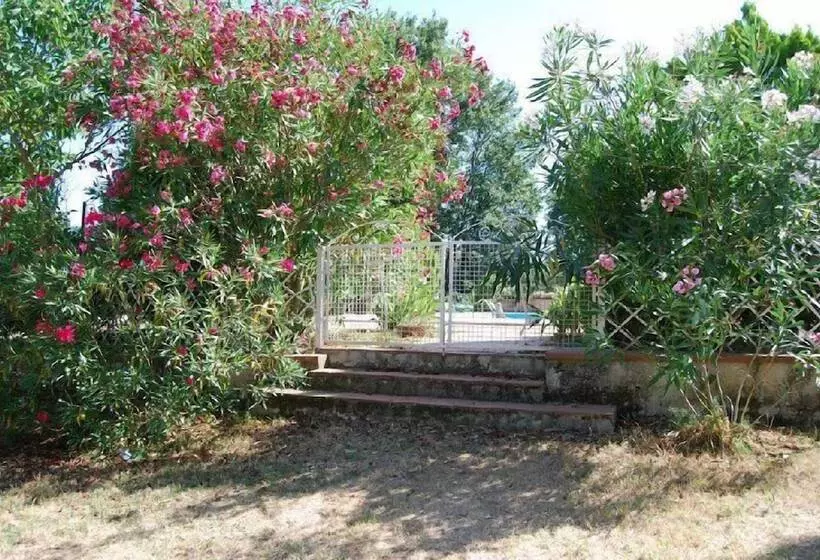 Maaseutuhotelli Tenuta Il Pino