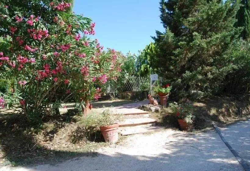 Maaseutuhotelli Tenuta Il Pino