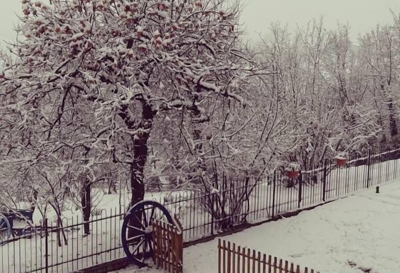 La Casa Blu Bed & Breakfast