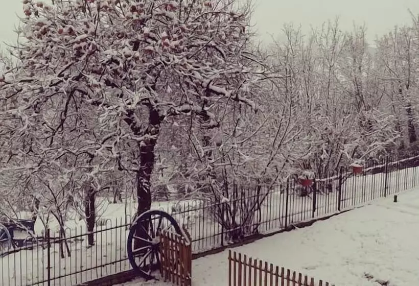 La Casa Blu Bed & Breakfast