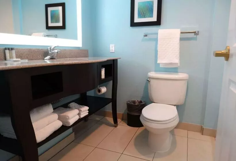 호텔 Best Western Plus Orlando Lake Buena Vista South Inn & Suites