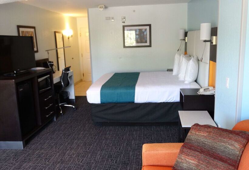 هتل Best Western Plus Orlando Lake Buena Vista South Inn & Suites