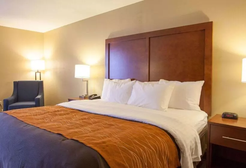 هتل Quality Inn & Suites I40 East