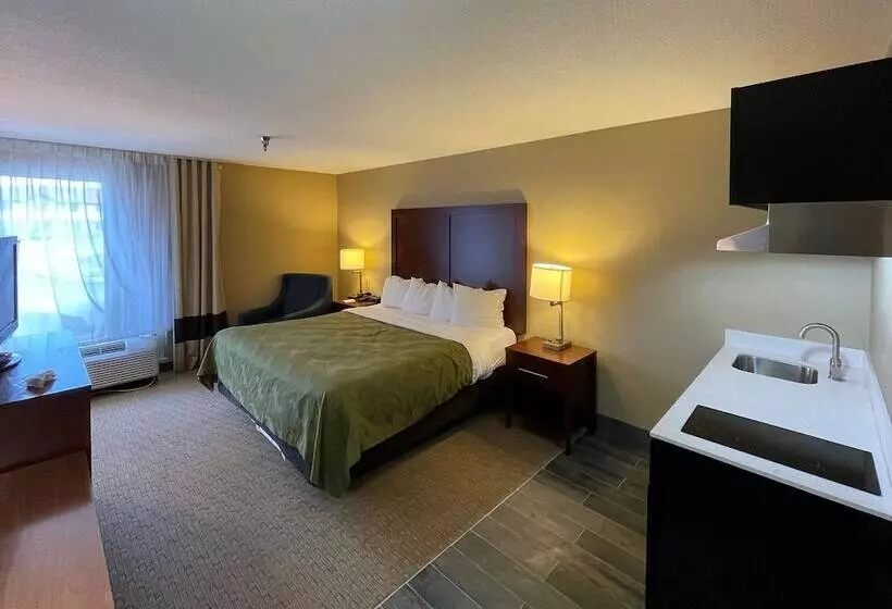 هتل Quality Inn & Suites I40 East