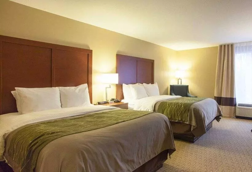 هتل Quality Inn & Suites I40 East