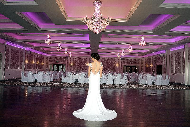 فندق Silverbirch