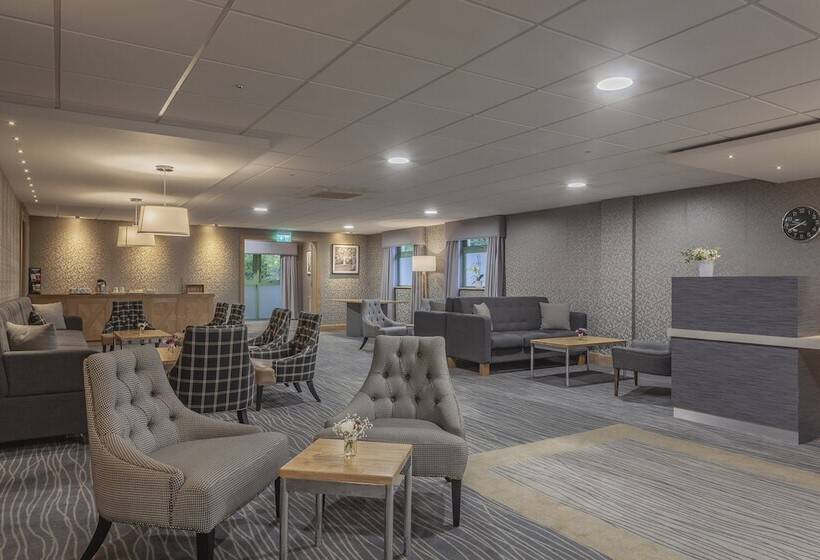 فندق Silverbirch