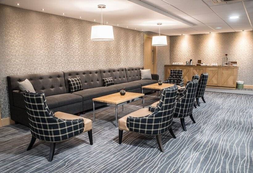 فندق Silverbirch