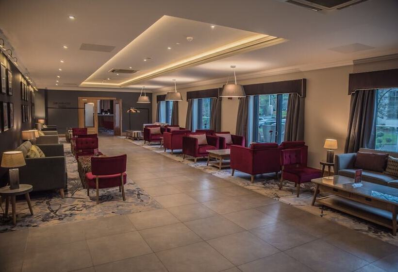 فندق Silverbirch