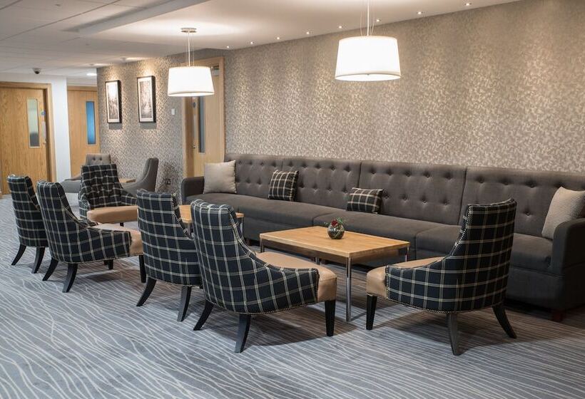 فندق Silverbirch