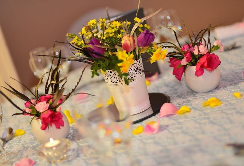 فندق Silverbirch