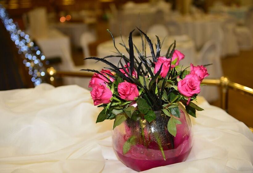 فندق Silverbirch