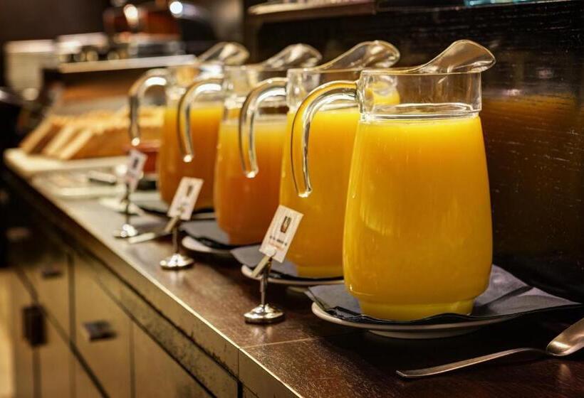 هتل Acevi Villarroel