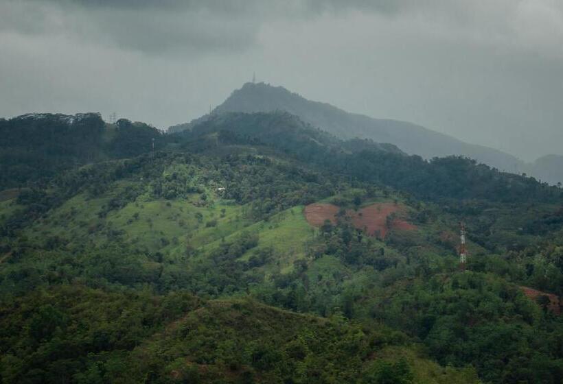 בית מלון כפרי Roylanka Inn
