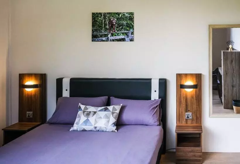 ホテル Step In Lodge   Hostel