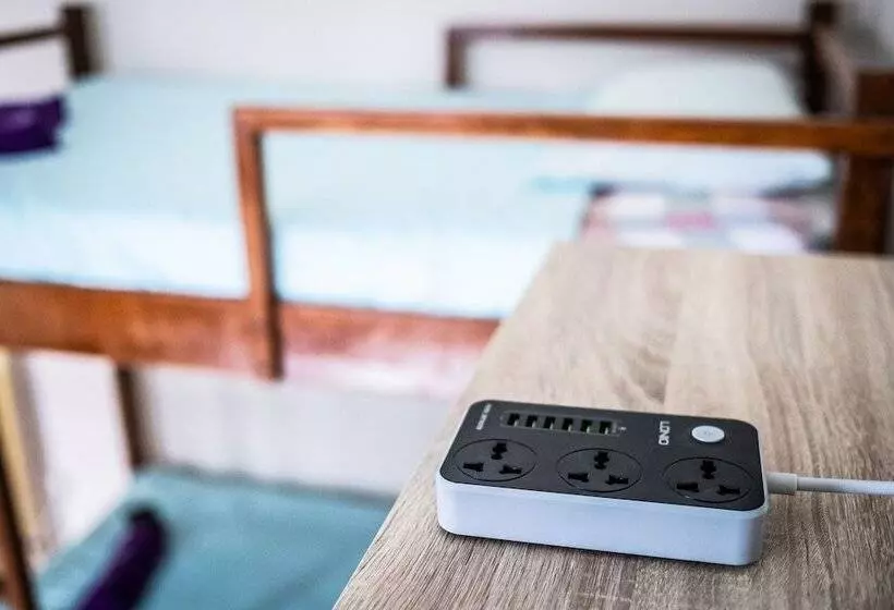 ホテル Step In Lodge   Hostel
