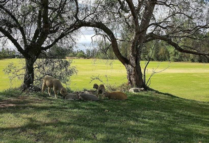 La Palma Polo Hotel   Airport Area