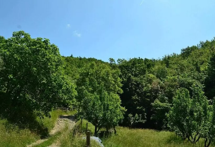 Historic Cottage In Fivizzano With Swimming Pool