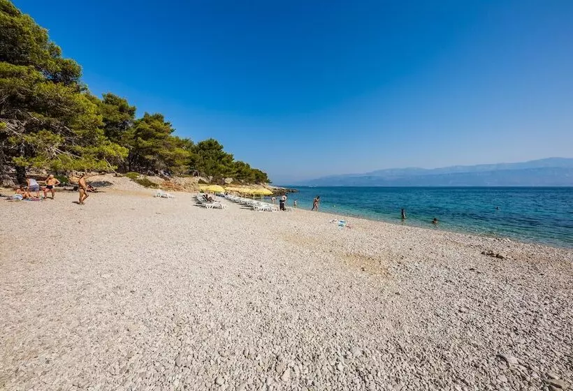 هتل Boutique Camping Bunja