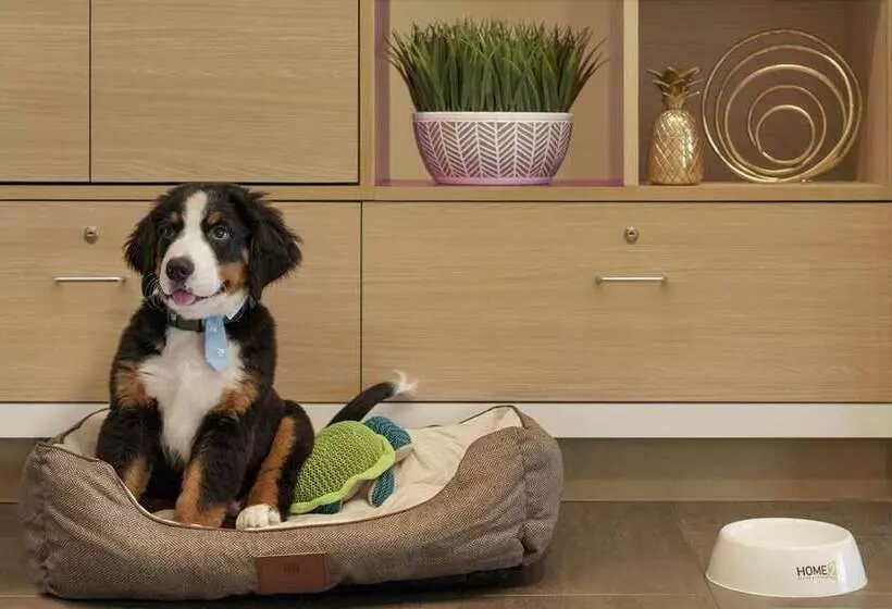 Hotelli Home2 Suites By Hilton Ephrata