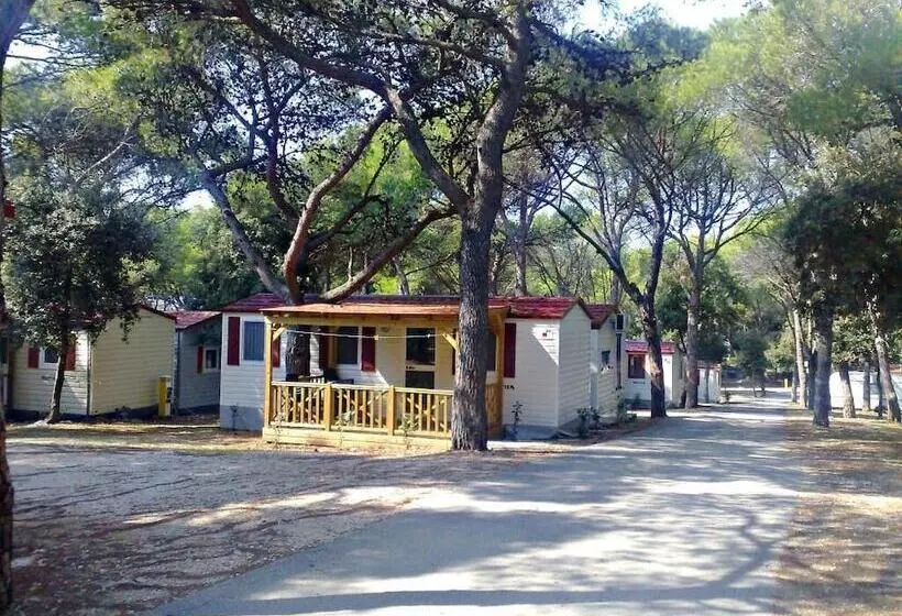 ホテル Camping Kozarica Mobile Homes