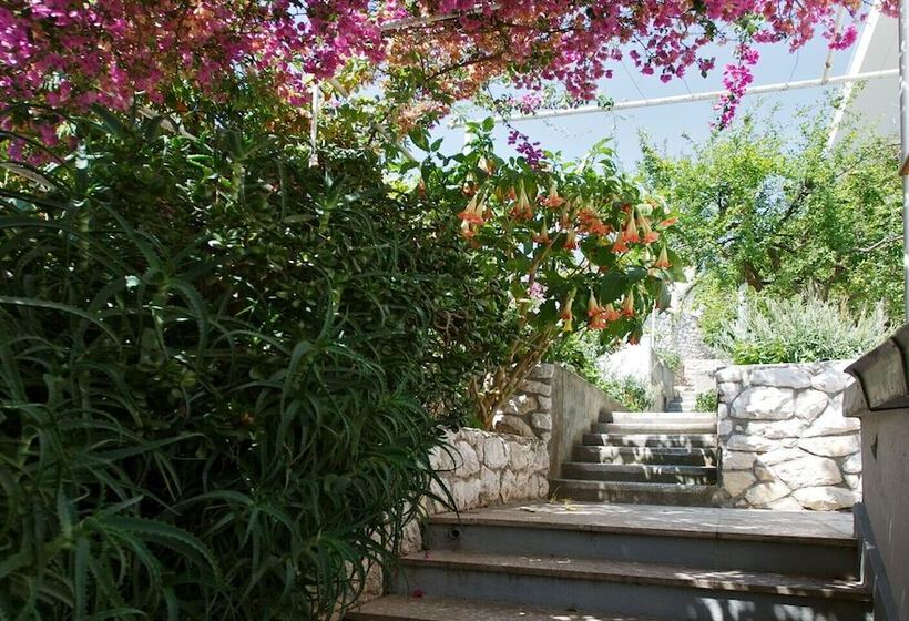 بنسيون Rooms Vinka Tudor