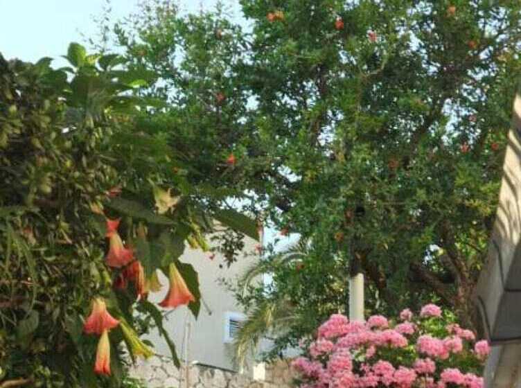 بنسيون Rooms Vinka Tudor