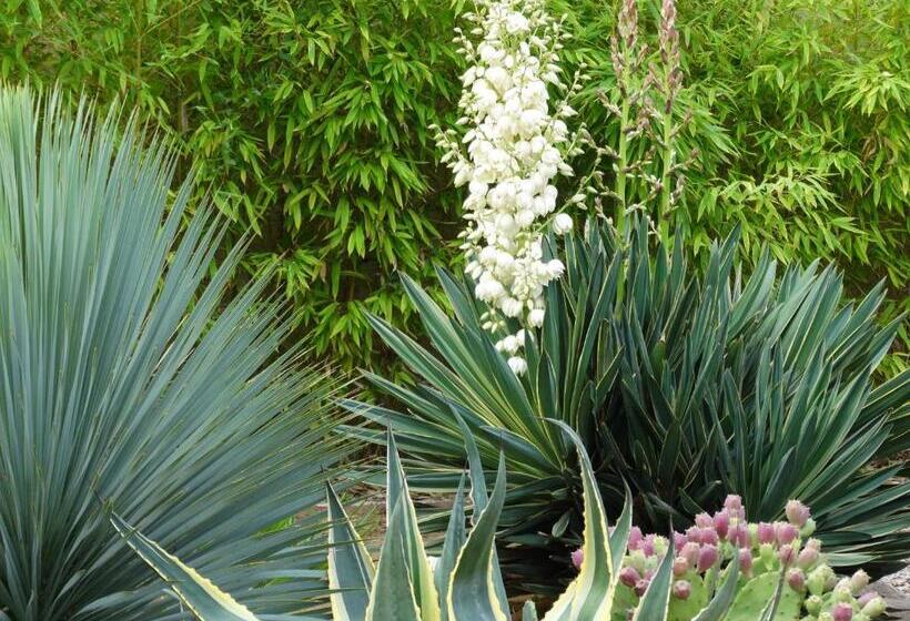 مبيت وإفطار Aigues Marines