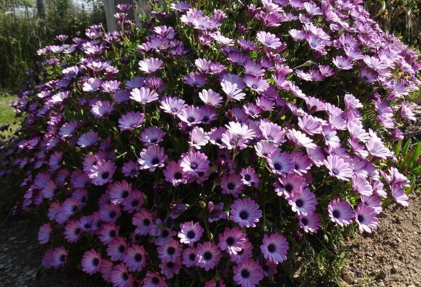 مبيت وإفطار Aigues Marines