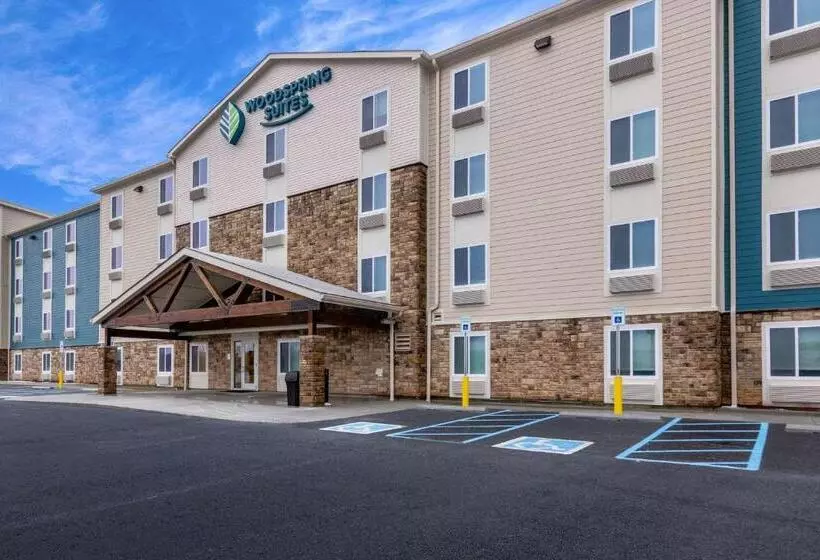 ホテル Woodspring Suites Indianapolis Airport South