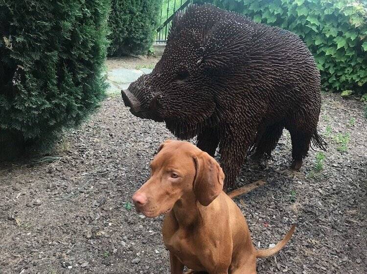 پانسیون Giarvino Boutique Guest House