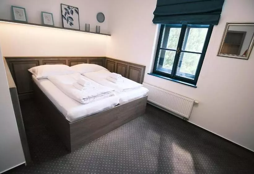 ペンション Penzion Elux