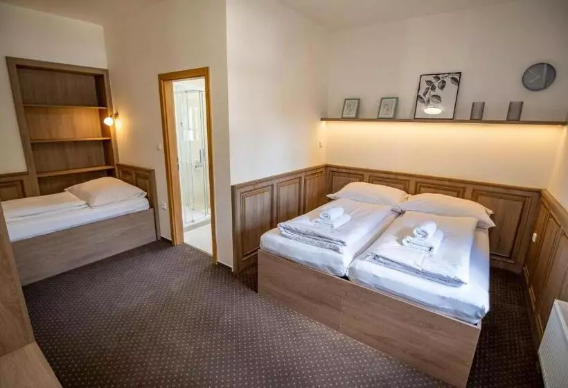 ペンション Penzion Elux