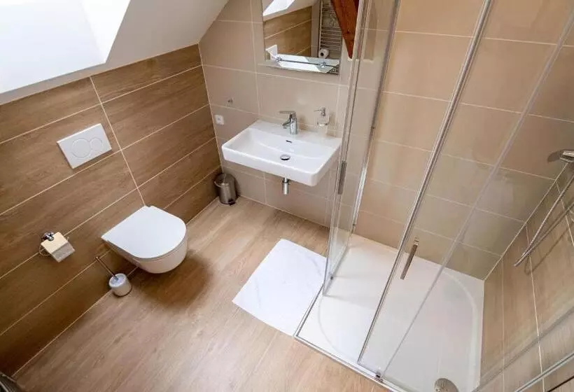 ペンション Penzion Elux