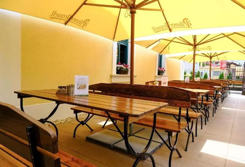 ペンション Penzion Elux