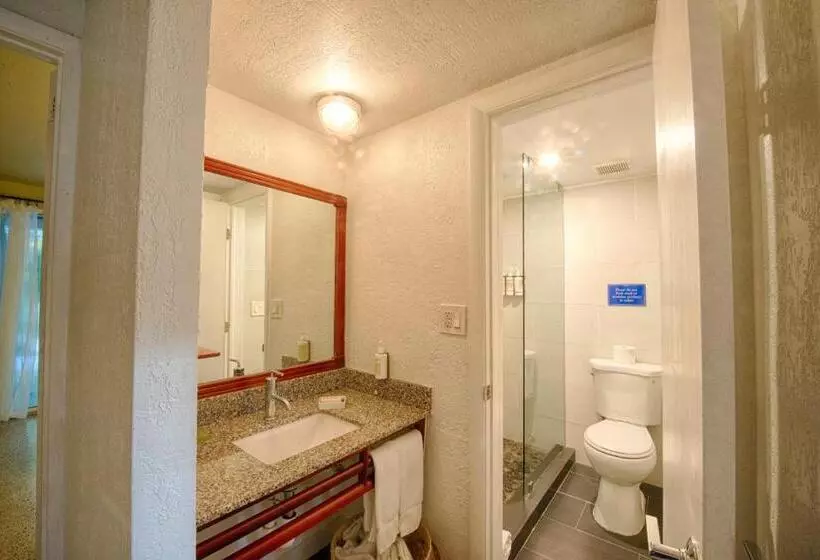 Отель Casa Morada