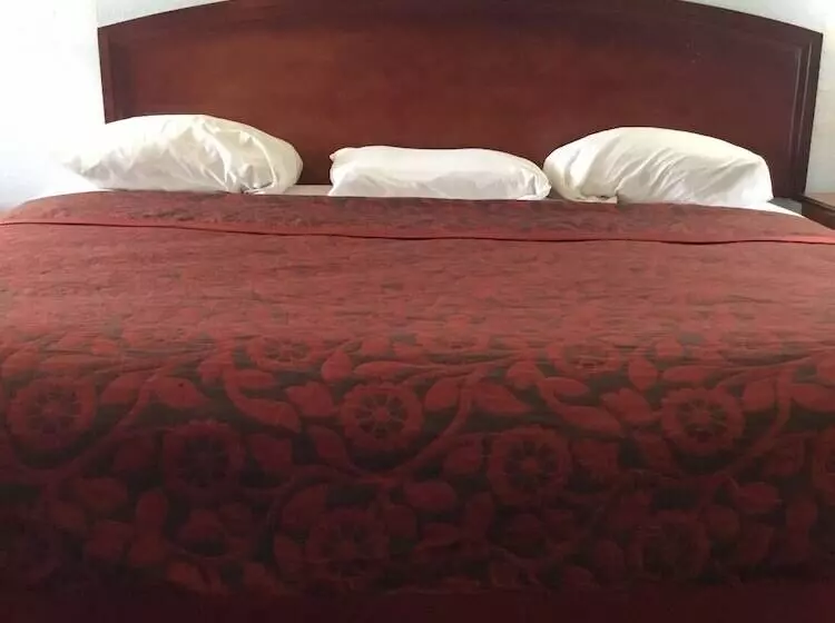 Отель Executive Inn