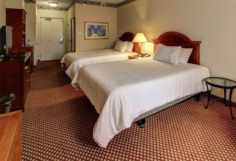 ホテル Hilton Garden Inn Williamsburg