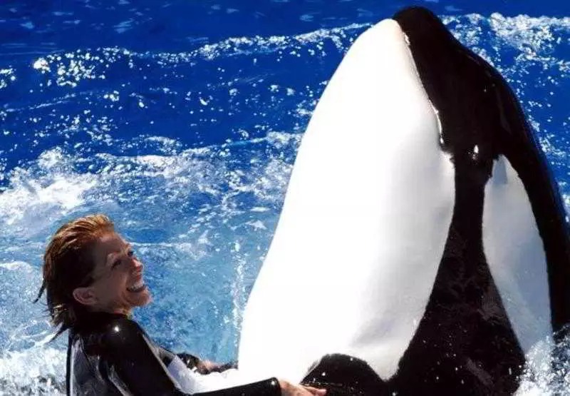 Отель Springhill Suites San Diego Rancho Bernardo/scripps Poway