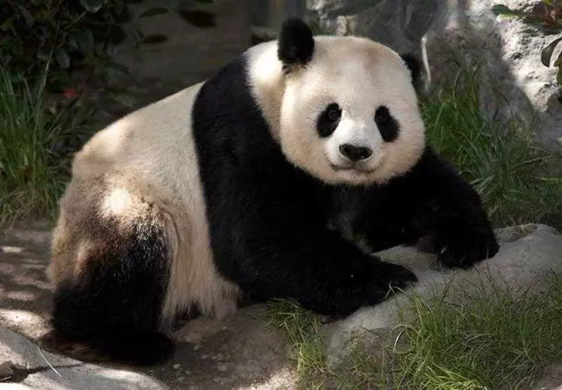 Отель Springhill Suites San Diego Rancho Bernardo/scripps Poway