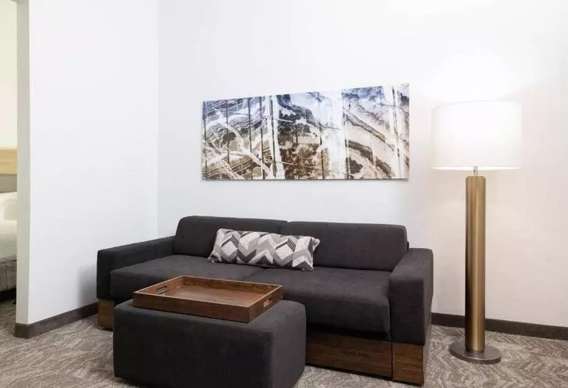 Отель Springhill Suites By Marriott Williamsburg