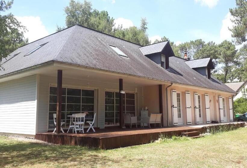 B&b La Forêt De Charmeuse